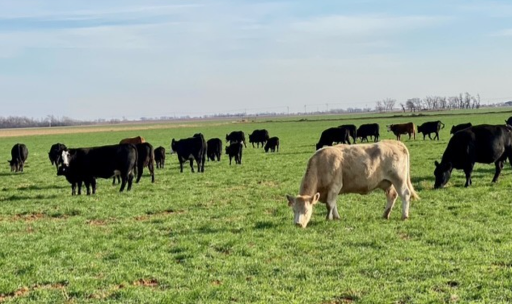 2024 TOTAL Survey Reveals 79% of Rented U.S. Farmland Owned by Non-Farmers