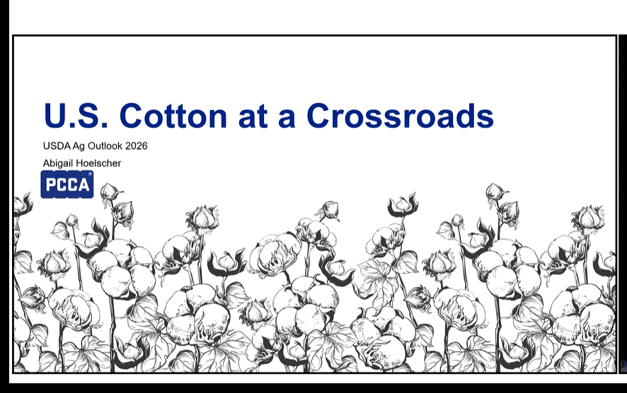 US Cotton at a Crossroads: Navigating Competition, Costs, and the Future of Consumption