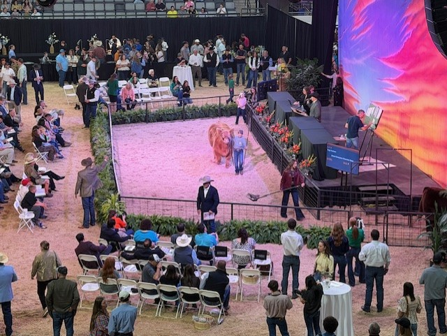 Sale of Champions Matches 2025 $1.4 Million in First Finale in OG&E Coliseum