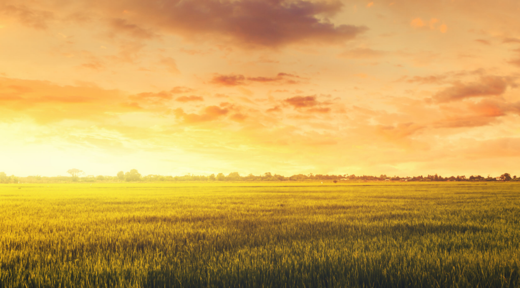 Farmer Sentiment Rebounds, but Future Expectations Continue to Slide