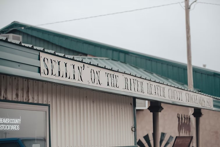 Beaver County Stockyards