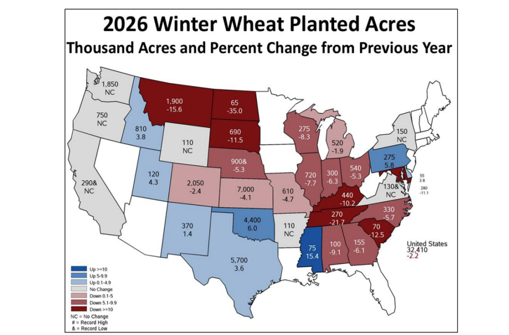 Dr. Todd Hubbs: Winter Wheat Acreage Hits Historic Low Amid Market Volatility