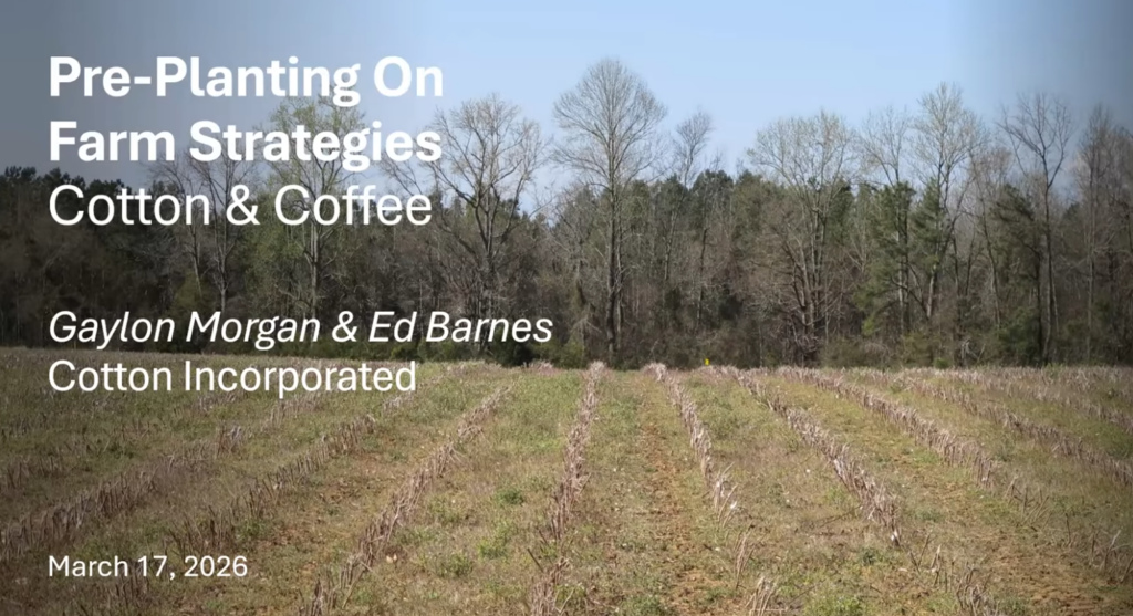 Maximizing Cotton Profitability: Strategic Strategies for the 2026 Planting Season