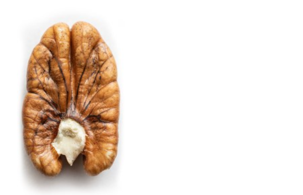 Noble Research Institute to Host Pecan Strategy Research Workshop in Ardmore