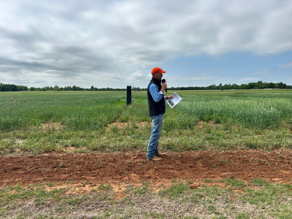 Small Grain Grazing Systems Can Cut Winter Feed Costs for Oklahoma Cattle Producers