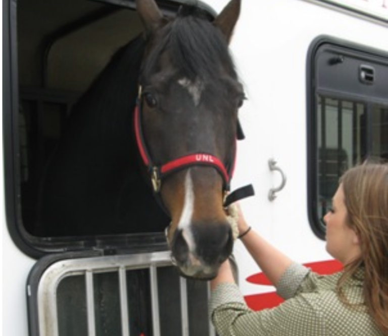 Lessons from the Recent EHM Outbreak: What Horse Owners Need to Know ...