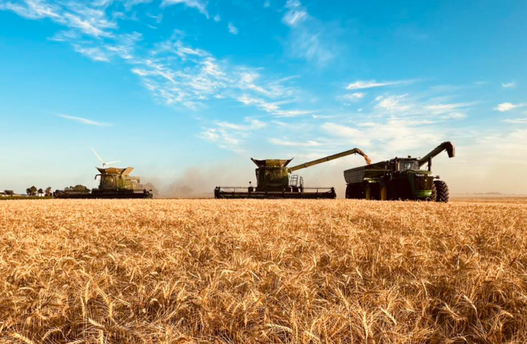 Oklahoma Wheat Harvest Reaches 12%–14% Complete Amid Wide Crop Differences