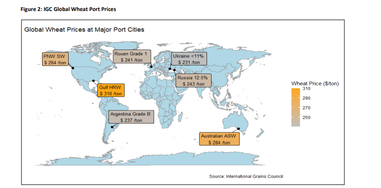 Navigating a Technical Lull: Drifting Grain Markets and the Shifting Global Landscape