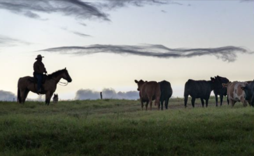 Farmer sentiment declines in April amid input costs and availability concerns