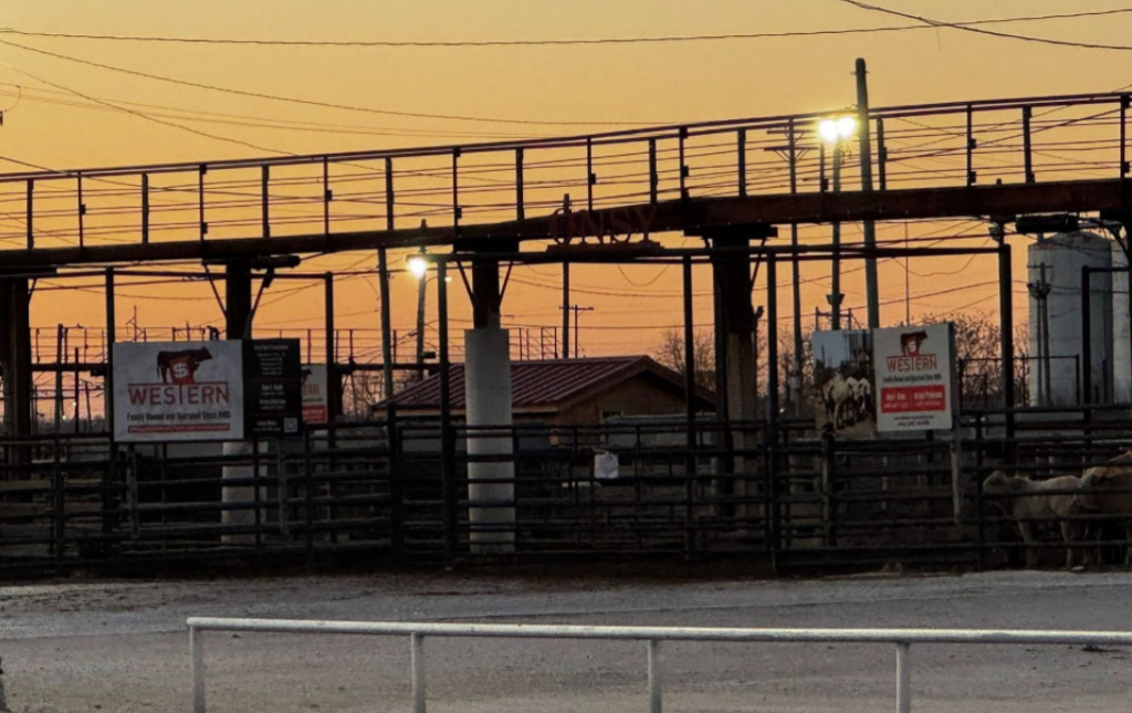 Ben Hale: Cattle Market Remains Strong Despite Screwworm Concerns