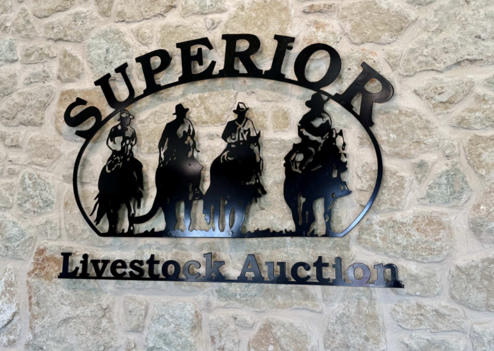 Danny Jones: Strong Cattle Prices Keep Beef Industry Optimistic in 2026