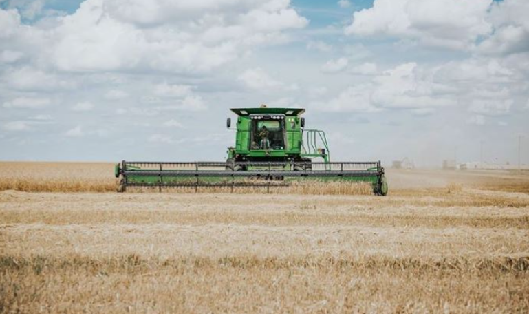 Crop Progress: Winter Wheat Harvest Jumps to 23% Despite Poor Ratings