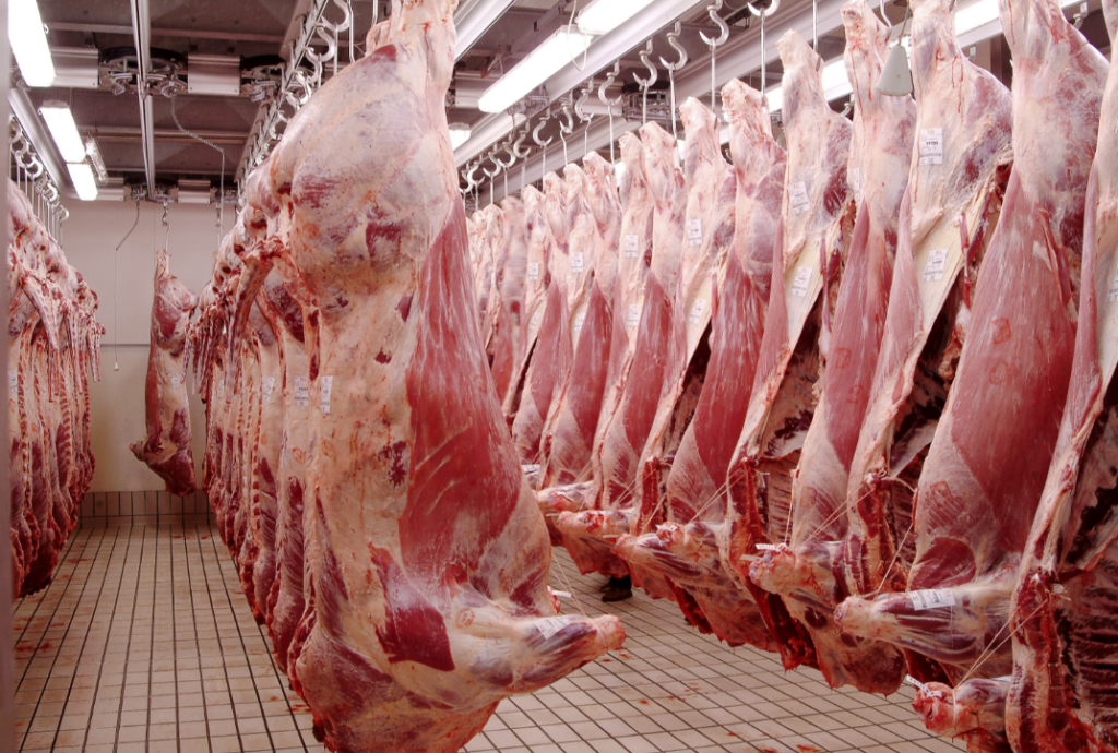 Economists Warn Uncertainty Still Looms Over Cattle Markets