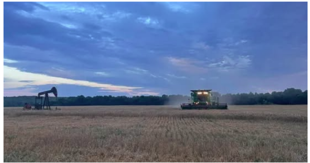 Oklahoma Wheat Harvest Nears Completion as Short Crop Brings Quality Grain but Lower Production