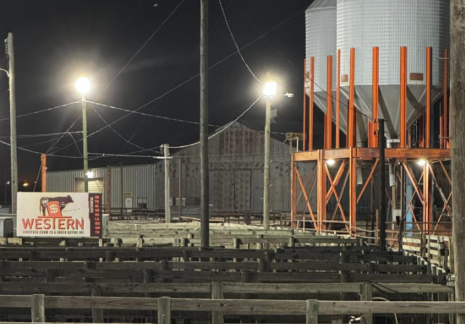 Ben Hale: Oklahoma Cattle Market Surges as Strong Feeder Demand Pushes Prices Higher
