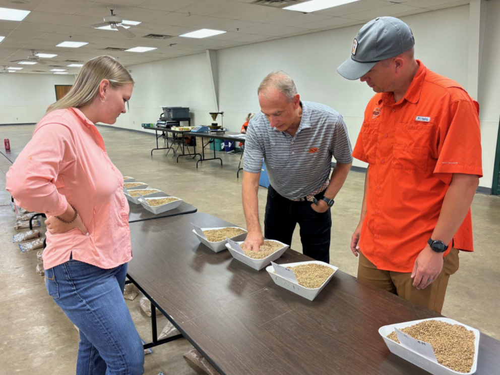 Oklahoma Junior Wheat Show 2026 Offers Scholarships and Opportunities for Young Wheat Producers