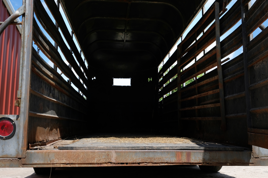 Hitch N Ride Livestock Transportation Connects Producers with Verified Haulers Across the Country