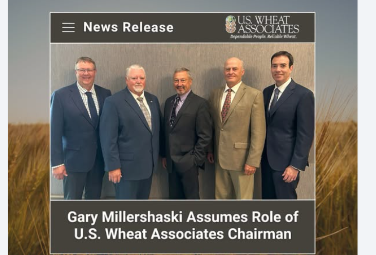 From Kansas Fields to Global Markets: Millershaski Brings Perspective to U.S. Wheat Leadership