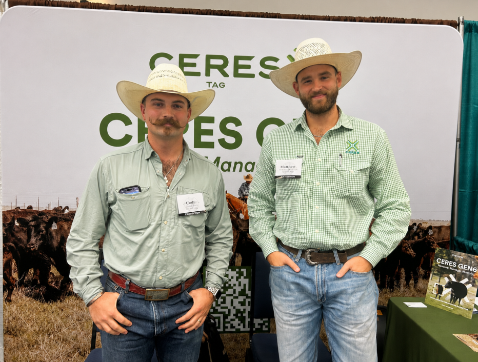 Ceres Tag Uses Satellite Technology to Help Cattle Producers Improve Herd Management