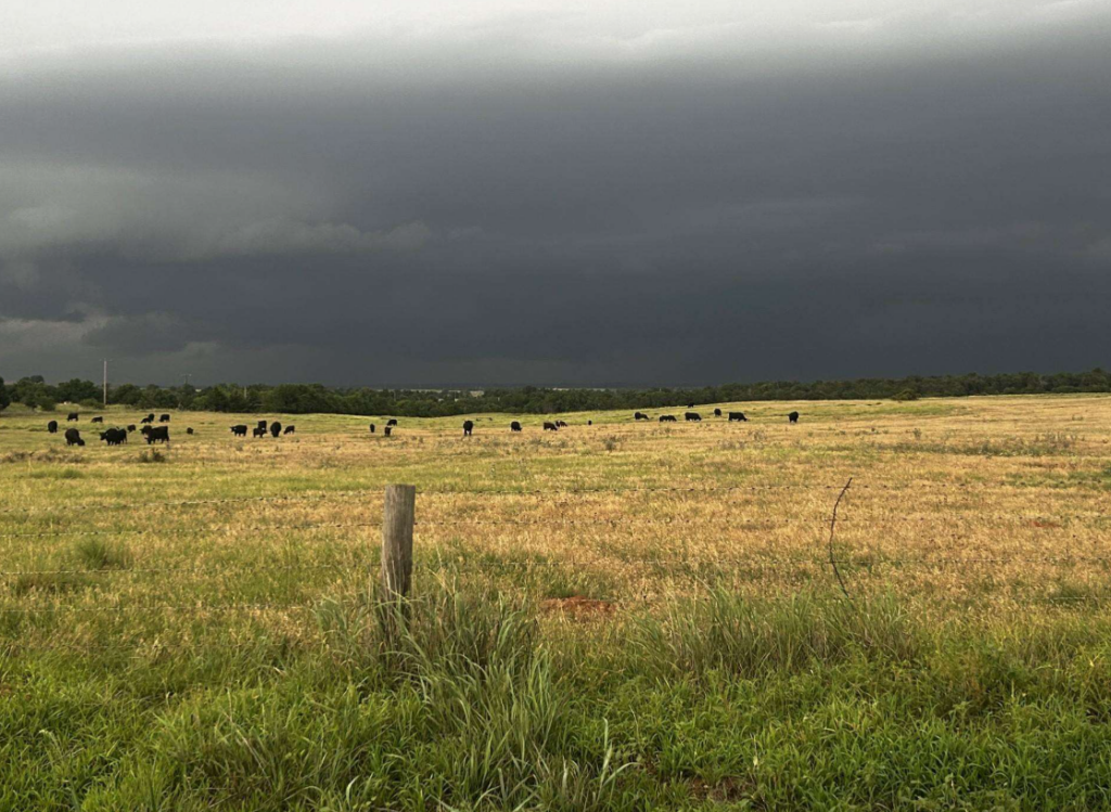 Super El Niño Could Boost Southern Plains Moisture, Forage Prospects, Says Matt Makens