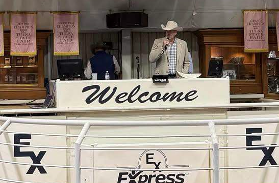 Express Ranches Details Final Bull Dispersal Plans Following Female Sale
