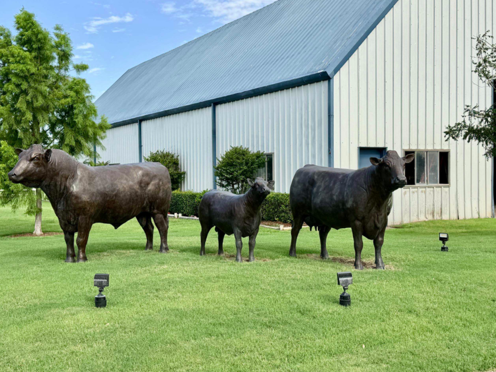 Express Ranch Plans Historic Three-Day Female Dispersal Sale in October