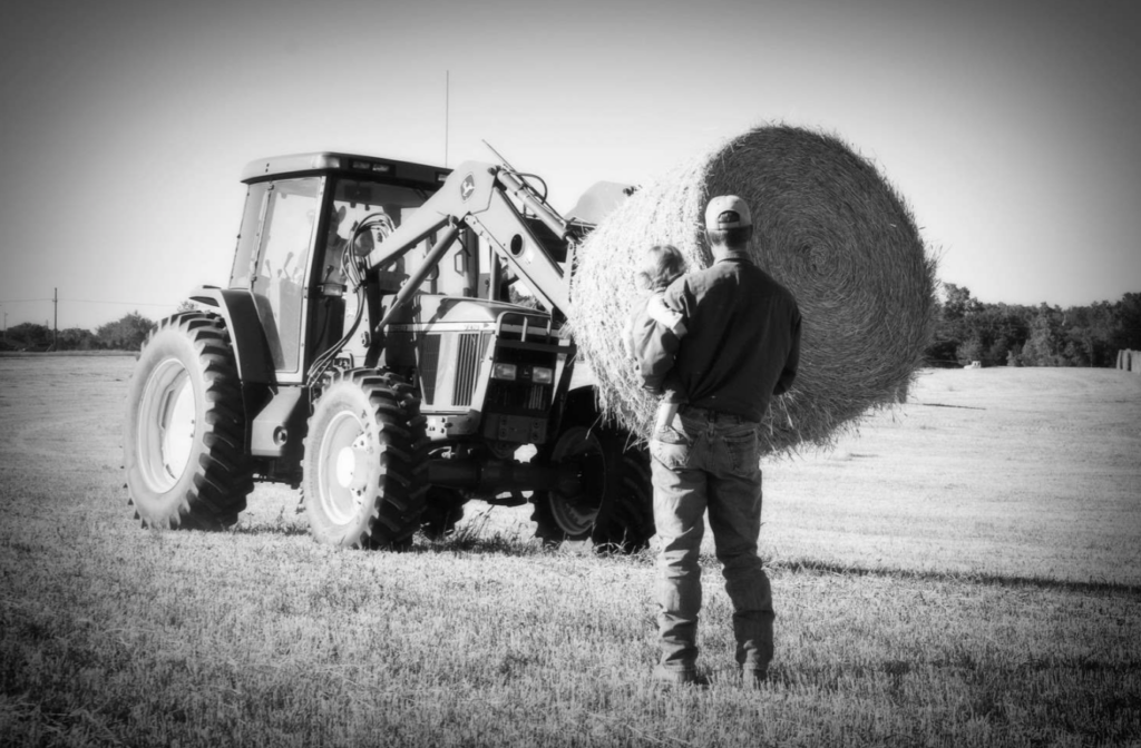 High input-cost concerns continue to weigh on farmer sentiment