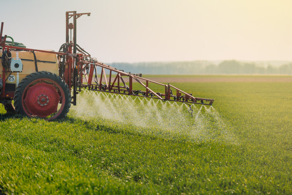 Oklahoma Soybean Growers Urged to Act Quickly on Post-Emergence Weed Control
