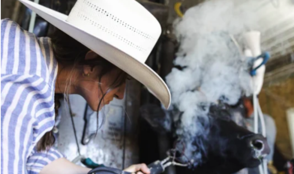 Cattleman U Resources Help Women in Agriculture Build Confidence and Grow Operations