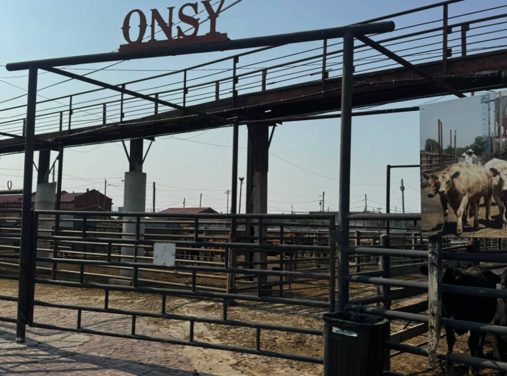 Ben Hale: Cattle Market Faces Pressure Amid Tight Supplies and Summer Heat