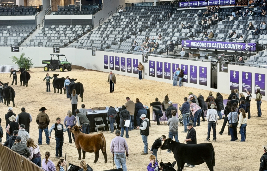 Cattlemen’s Congress Builds for 2027 With More Cattle, Sales and Events