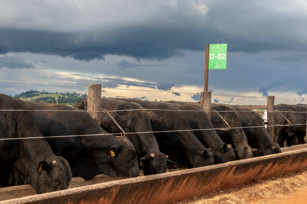 Don Close Sees Smaller Placements in Cattle on Feed the Reality of Tight Supplies