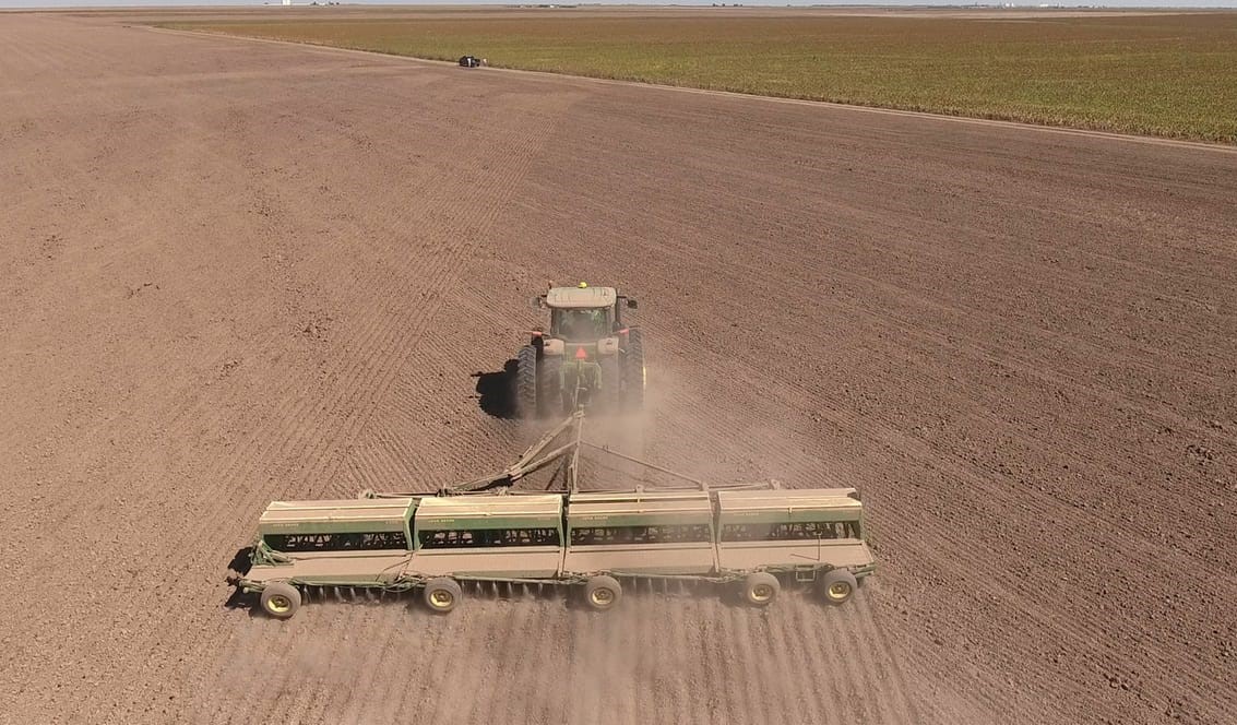Dry Conditions Put Oklahoma Wheat Planting in Wait-and-See Mode