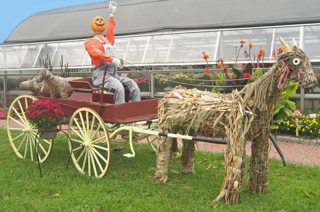 Oklahoma Agritourism Farms Offer Fall Activities With an Agricultural Connection
