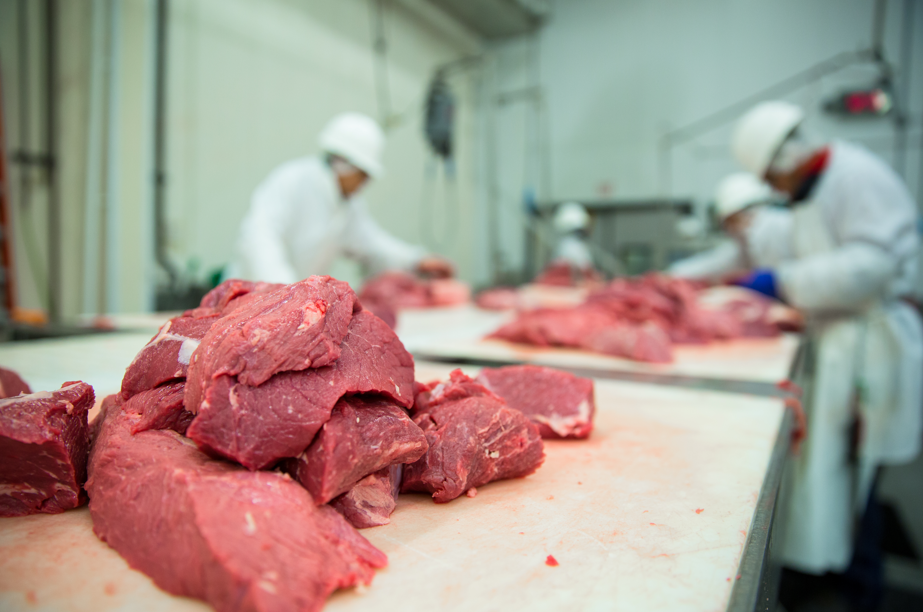 Workers in beef processing plant
