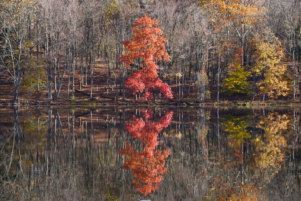 EPA and Army Seek Additional Input on Proposed Waters of the U.S. Definition While Advancing Toward Durable Final Rule