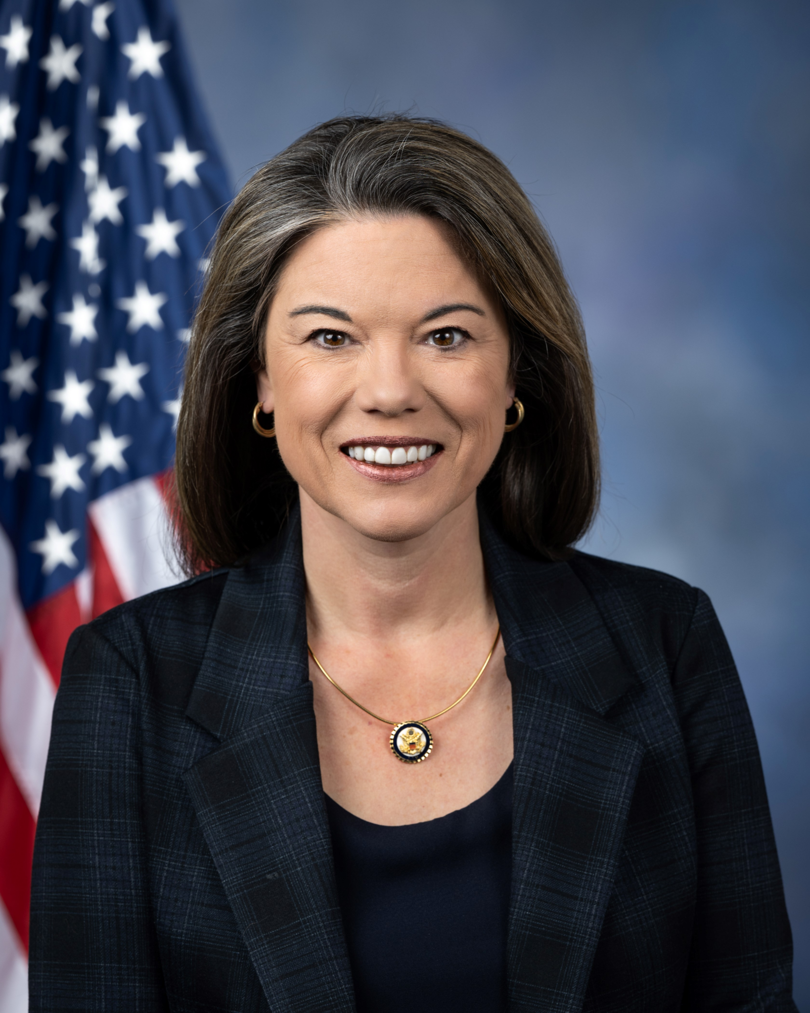 Ranking Member Angie Craig, SEEC Climate and Agriculture Task Force ...