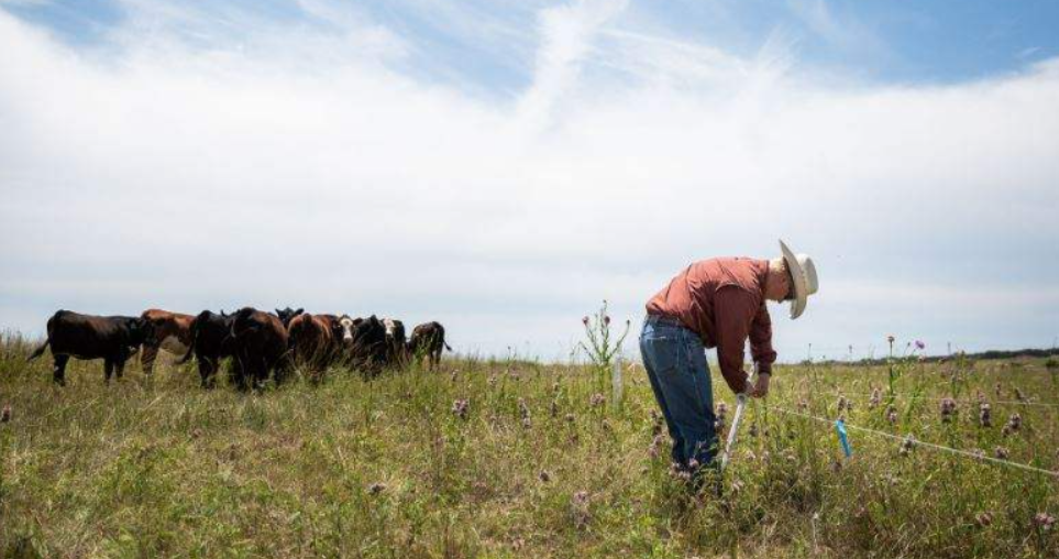 Farmer sentiment drops as concerns about input costs increase