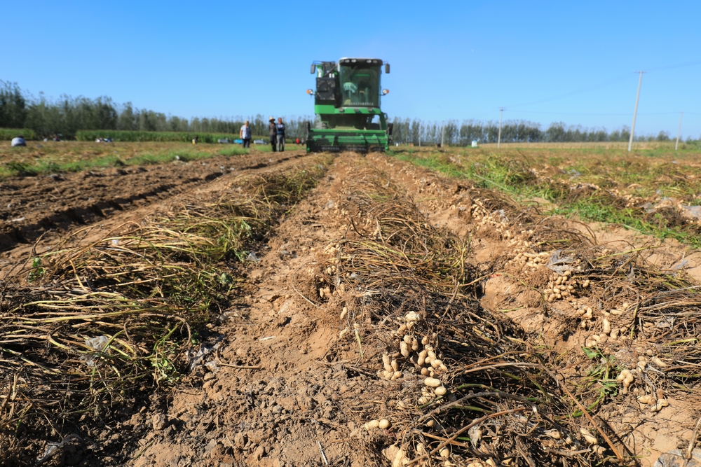 Securing Agriculture’s Workforce Act Critical to Solving Farm Labor Crisis, Says Matt Teagarden